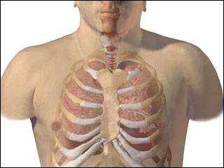 Site of chest X-ray