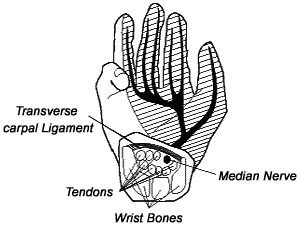 hand.gif (6492 bytes)