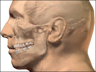 Site of dental X-rays