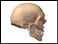 Site of skull X-ray