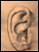 Benign ear cyst or tumor