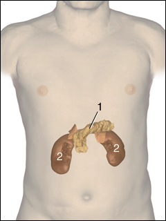 Acute pancreatitis