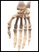 Site of hand X-ray
