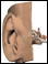 Ear