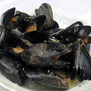 mussels