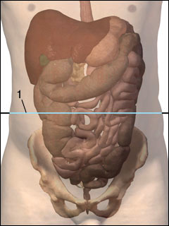 Abdominal film