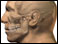 Site of dental X-rays 