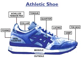 athleticshoe.jpg (13427 bytes)