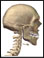 Site of neck X-ray