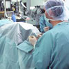 Surgical treatment - Lumpectomy